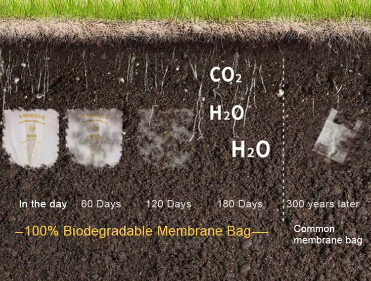 Des particules de microplastique créent une « épée de Damoclès »