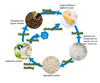 Acide polylactique chimique de polymérisation pour l'agriculture