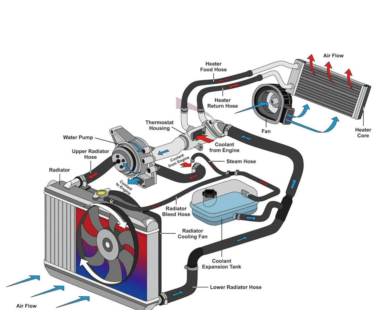 Gestion thermique des véhicules à carburant